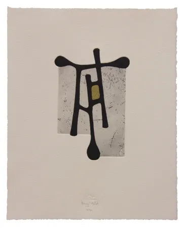 Água-Forte E Água-Tinta Baroja-Collet - Contraseña