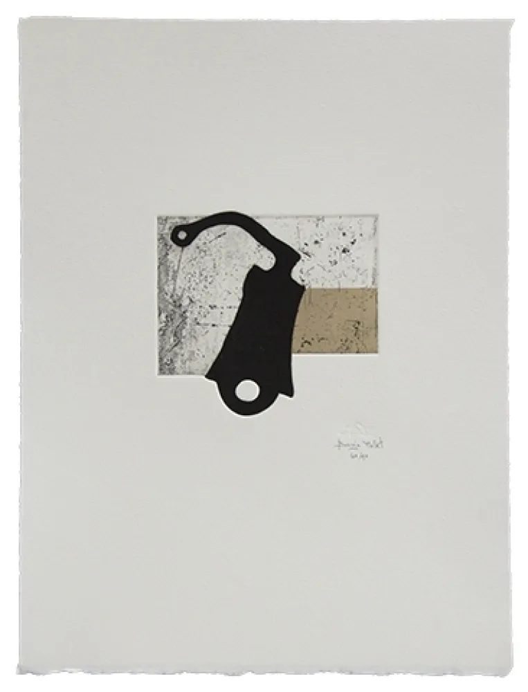 Água-Forte E Água-Tinta Baroja-Collet - Despertando sospechas