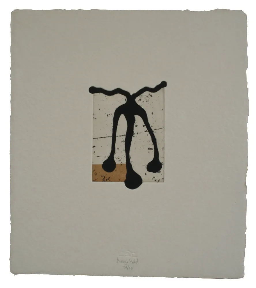 Água-Forte E Água-Tinta Baroja-Collet - Ecos III