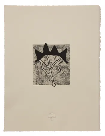 Água-Forte E Água-Tinta Baroja-Collet - Estructurada