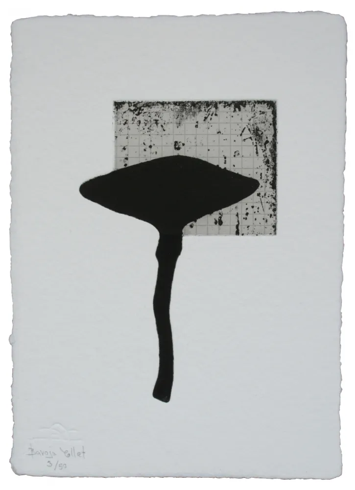 Água-Forte E Água-Tinta Baroja-Collet - Fetiche