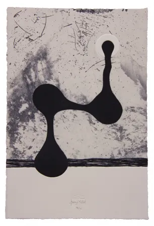 Água-Forte E Água-Tinta Baroja-Collet - Free them all