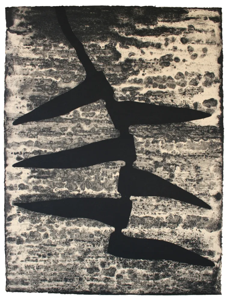 Água-Forte E Água-Tinta Baroja-Collet - Garoa