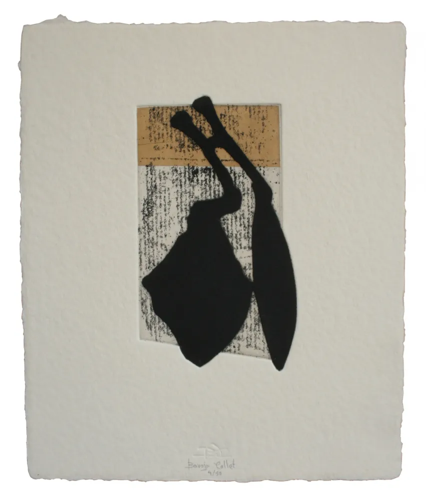 Água-Forte E Água-Tinta Baroja-Collet - Laia