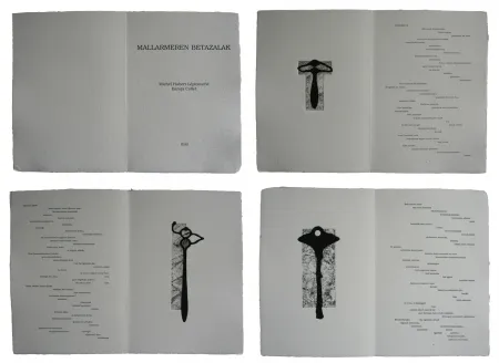 Livro Ilustrado Baroja-Collet - Mallarmeren betazalak