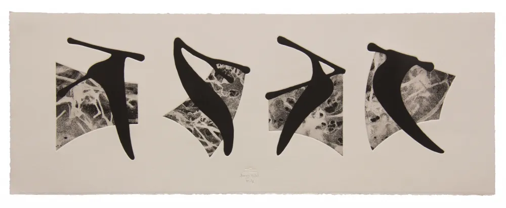 Água-Forte E Água-Tinta Baroja-Collet - Neguko kronika