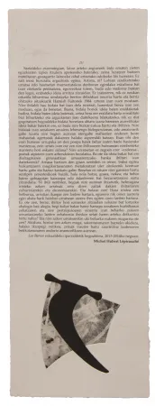 Livro Ilustrado Baroja-Collet - Neguko kronika hegoaldeko ordeketan