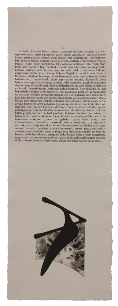 Livro Ilustrado Baroja-Collet - Neguko kronika hegoaldeko ordeketan