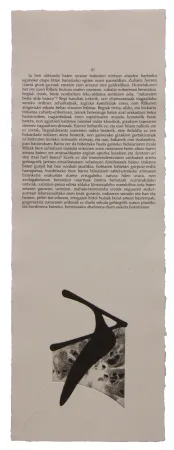 Livro Ilustrado Baroja-Collet - Neguko kronika hegoaldeko ordeketan