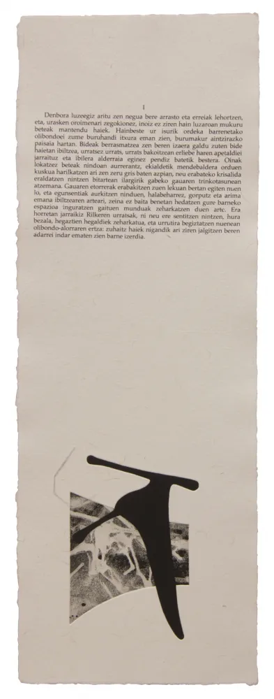 Livro Ilustrado Baroja-Collet - Neguko kronika hegoaldeko ordeketan