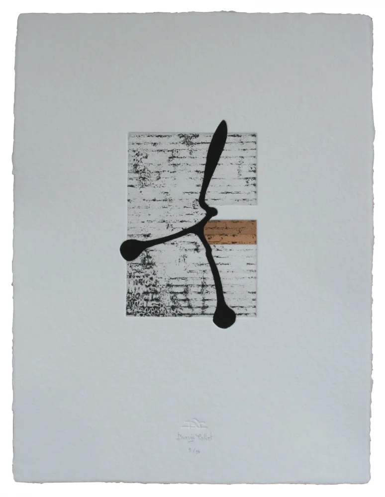 Água-Forte E Água-Tinta Baroja-Collet - Rebelde