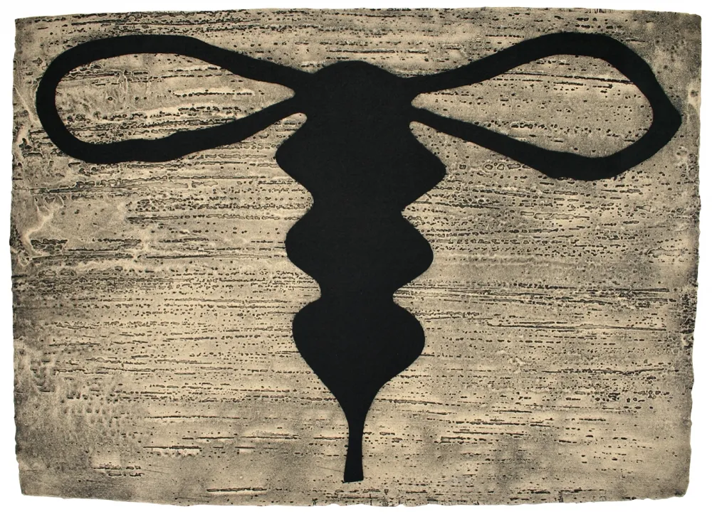 Água-Forte E Água-Tinta Baroja-Collet - Recuerdos Amañados I