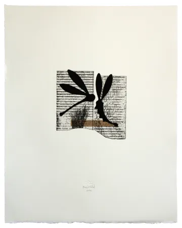 Água-Forte E Água-Tinta Baroja-Collet - Seducción