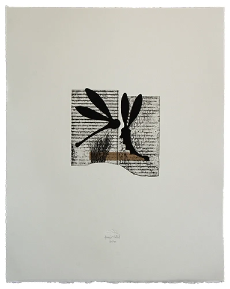 Água-Forte E Água-Tinta Baroja-Collet - Seducción