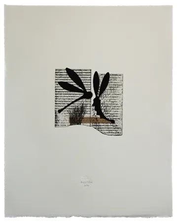 Água-Forte E Água-Tinta Baroja-Collet - Seducción