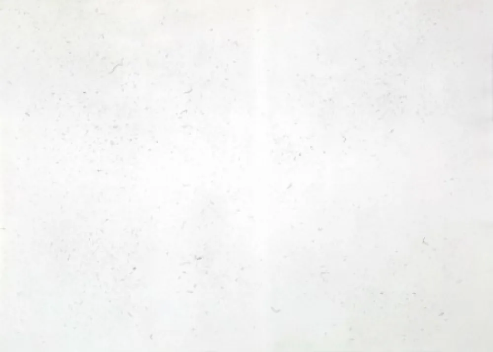 Gravura Bartolini - Dust Chaser 2