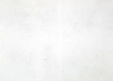 Gravura Bartolini - Dust Chaser 2