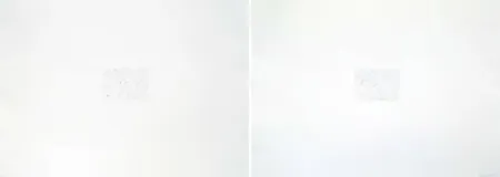 Gravura Bartolini - Dust Chaser