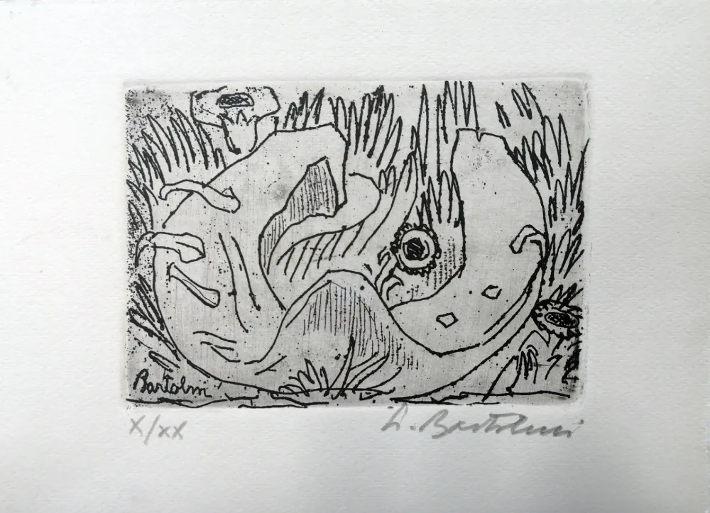 Água-Forte Bartolini - Il ferro di cavallo