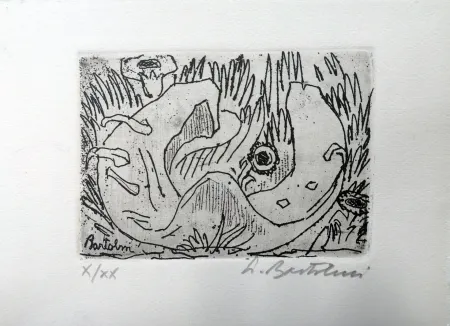 Água-Forte Bartolini - Il ferro di cavallo