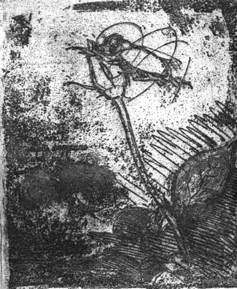 Água-Forte Bartolini - La rosa