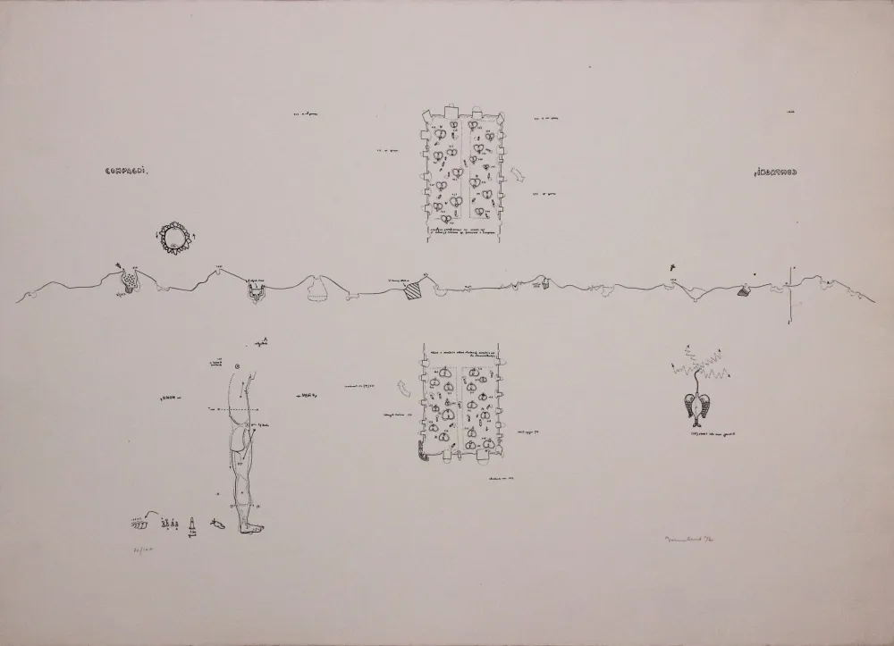 Litografia Baruchello - Campioni