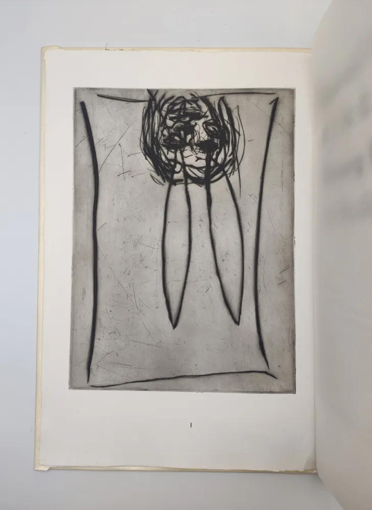 Livro Ilustrado Baselitz - Bing. 