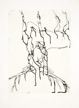Água-Tinta Baselitz - 