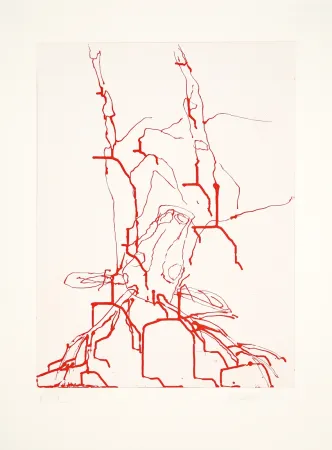 Água-Tinta Baselitz - 