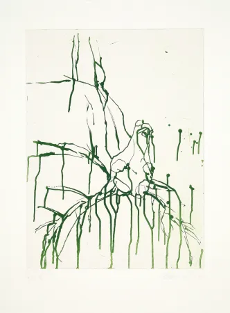 Água-Tinta Baselitz - 