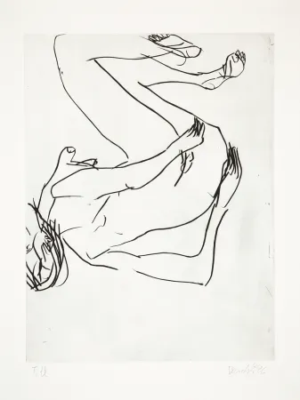 Ponta-Seca Baselitz - 