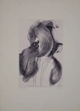 Água-Forte E Água-Tinta Baskin - An Iris for Lisa