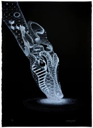 Litografia Baudelocque - Biche