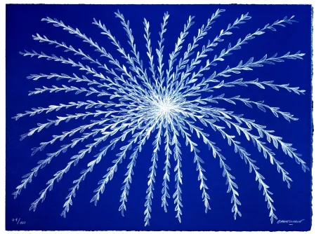 Litografia Baudelocque - Etoile végétale