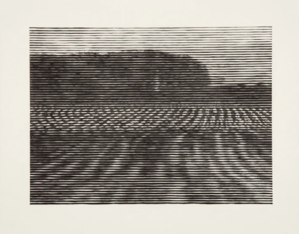 Xilogravura Baumgartner - Gelände