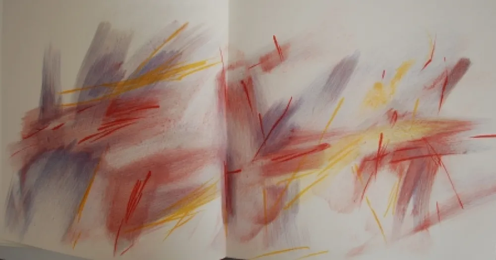 Livro Ilustrado Bazaine - Bazaine