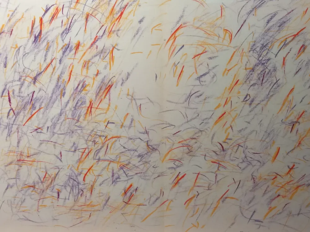 Livro Ilustrado Bazaine - DLM 170