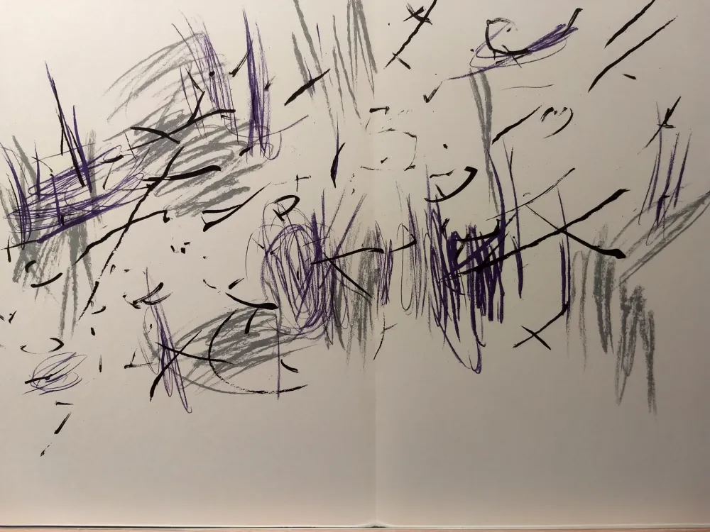 Livro Ilustrado Bazaine - DLM 197