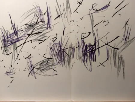 Livro Ilustrado Bazaine - DLM 197