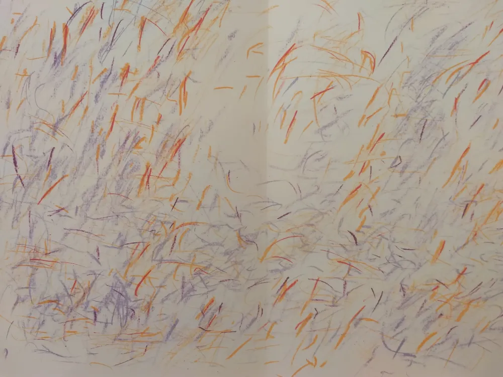 Livro Ilustrado Bazaine - Edition Tete DLM 170