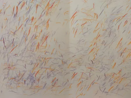 Livro Ilustrado Bazaine - Edition Tete DLM 170