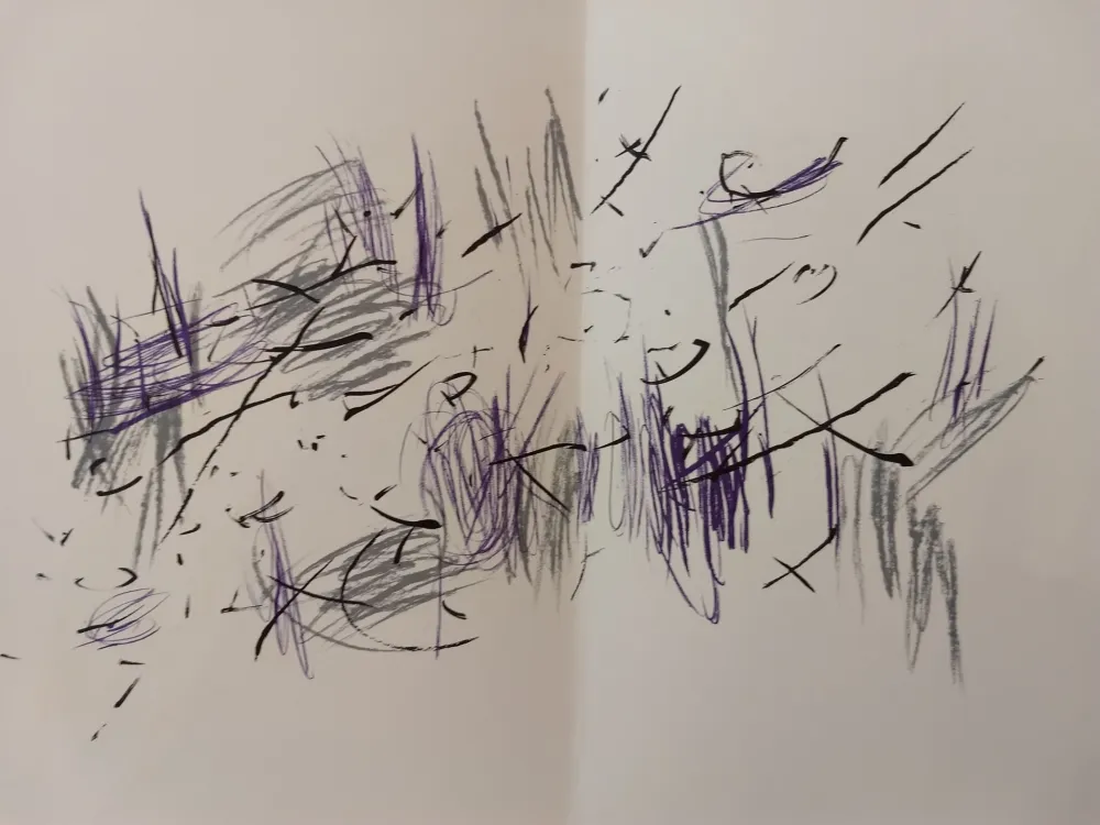 Livro Ilustrado Bazaine - Edition Tete DLM 197