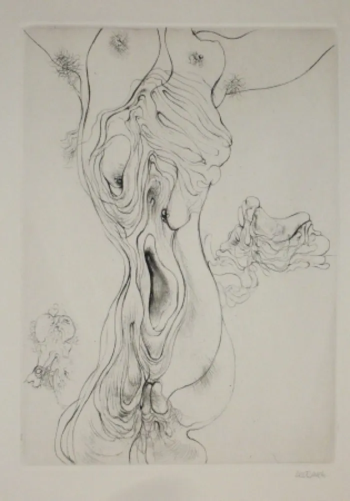 Gravura Bellmer - A Sade 8