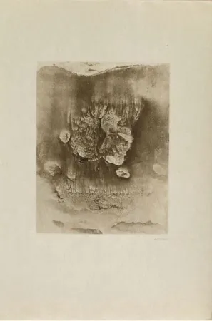 Gravura Bellmer -  Entre deux eaux