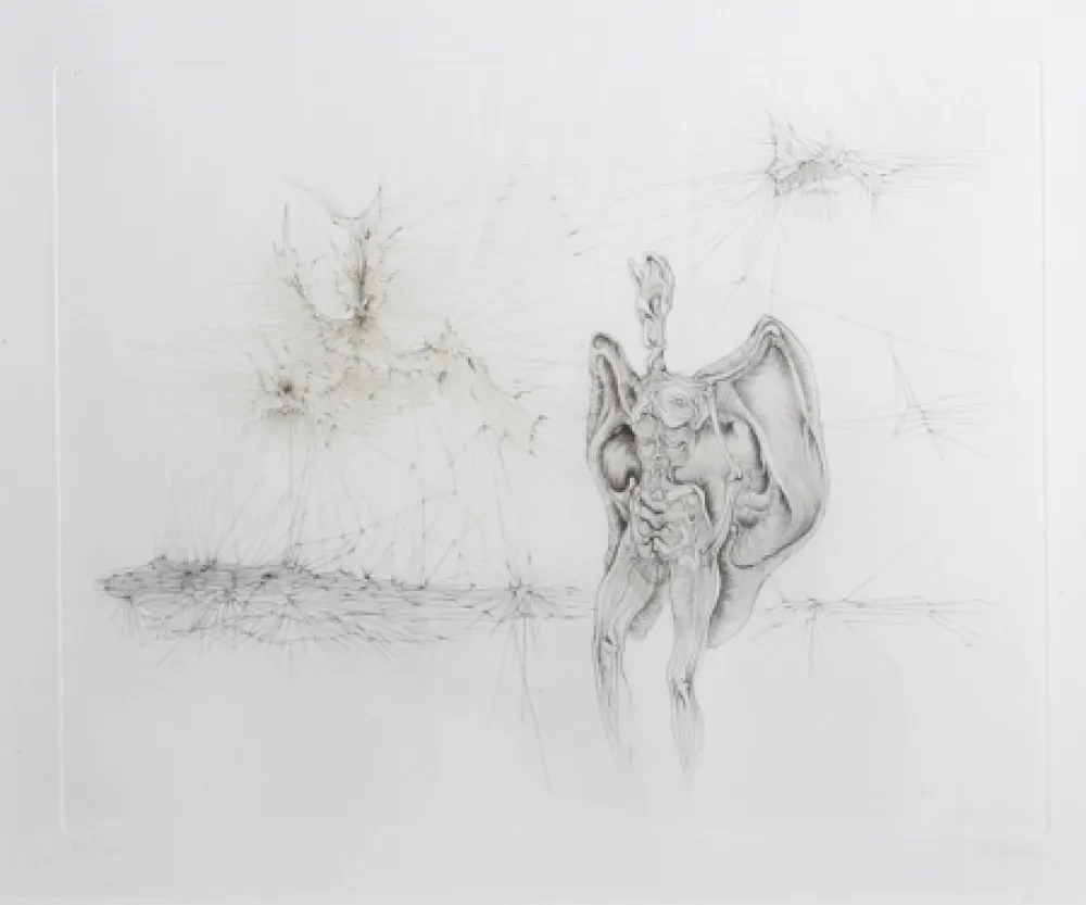 Gravura Bellmer - La Chauve-Souris