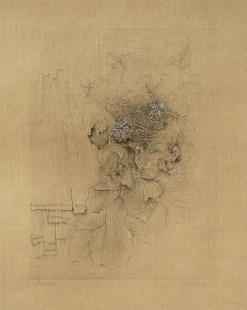 Gravura Bellmer - La Danseuse