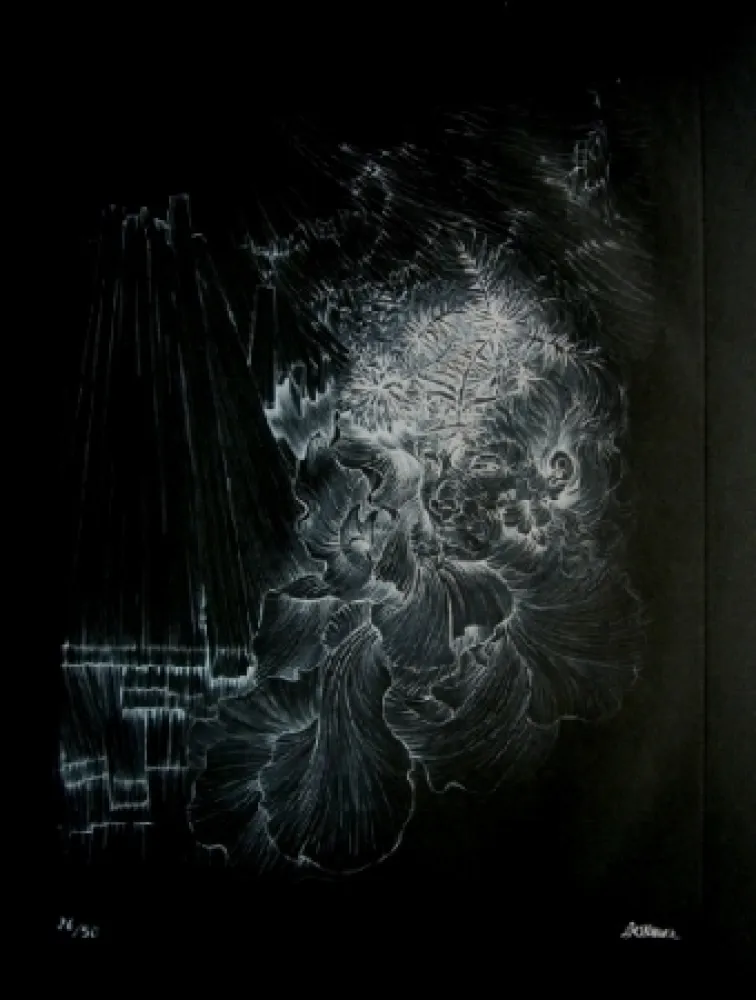 Água-Forte E Água-Tinta Bellmer - La danseuse