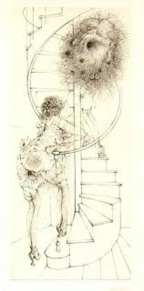 Livro Ilustrado Bellmer - Madame edwarda