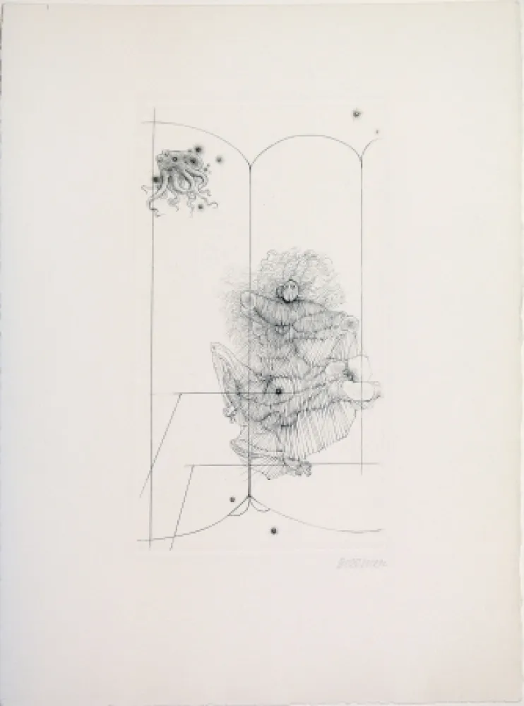 Ponta-Seca Bellmer - Octopus from 