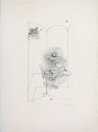 Ponta-Seca Bellmer - Octopus from 